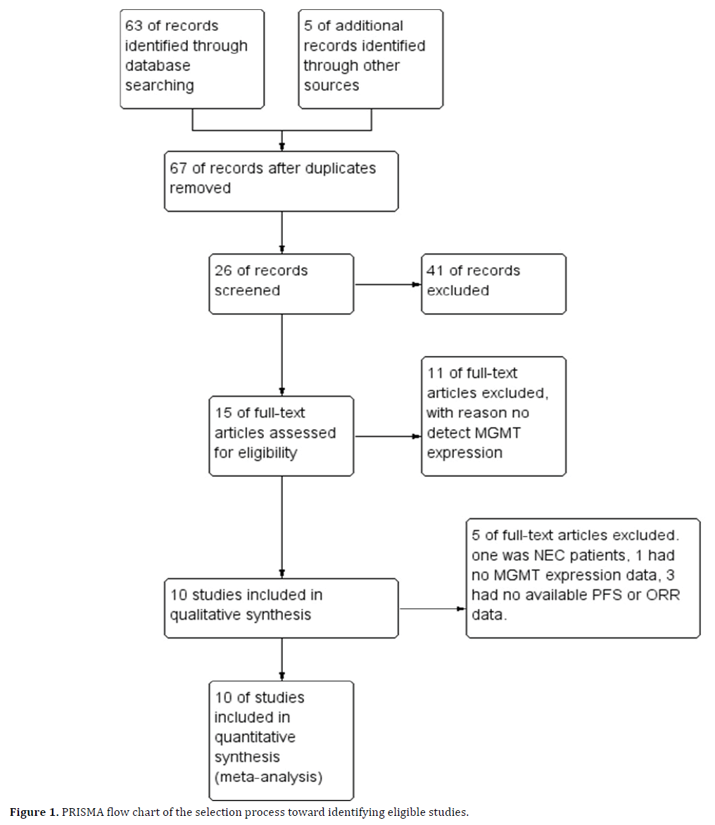 pancreas-prisma-flow-chart-process