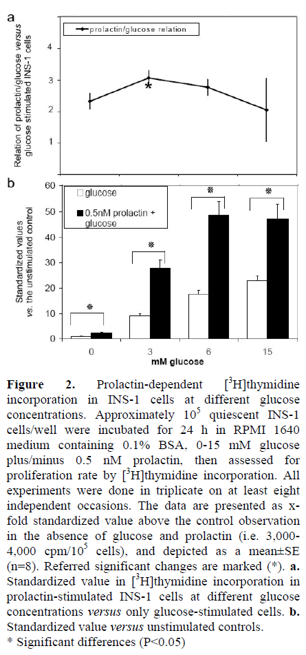 pancreas-prolactin-dependent-incorporation