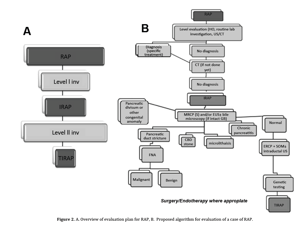 pancreas-proposed-algorithm