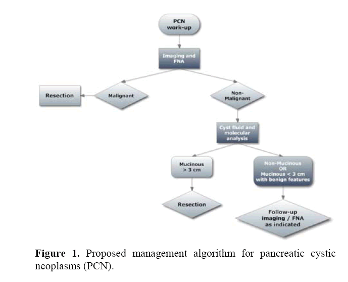 pancreas-proposed-management-algorithm