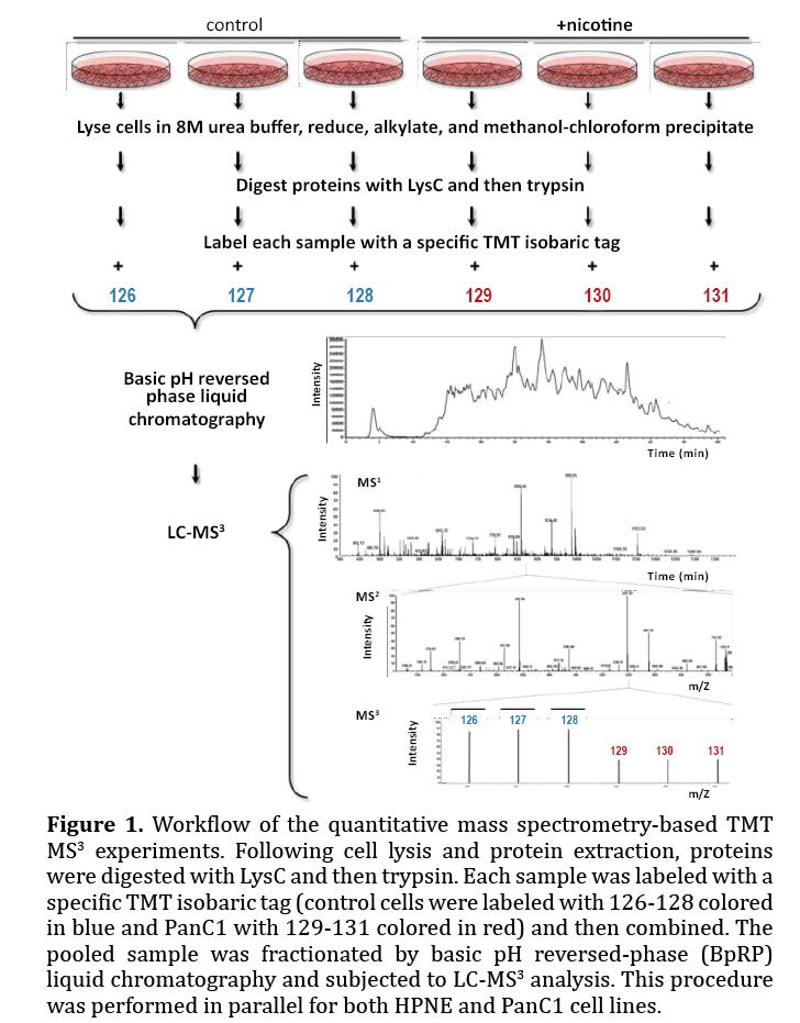 pancreas-quantitative-mass-spectrometry