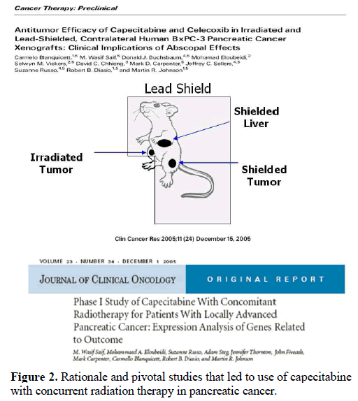 pancreas-rationale-pivotal-capecitabine