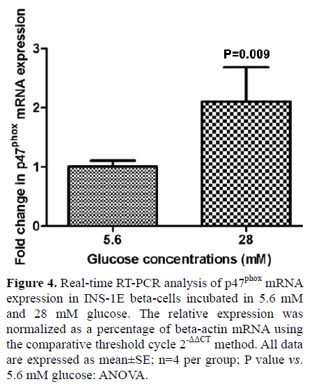 pancreas-real-time-rt-pcr-analysis