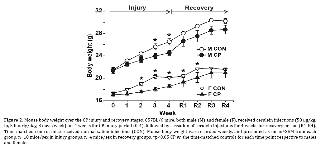 pancreas-recovery