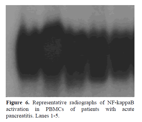 pancreas-representative-radiographs