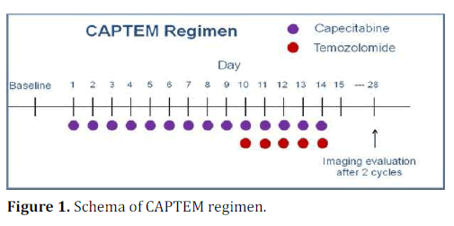 pancreas-schema-captem-regimen