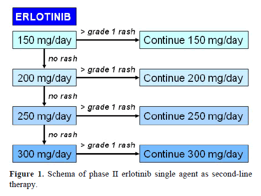 pancreas-schema-phase-erlotinib