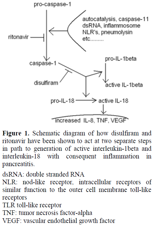 pancreas-schematic-diagram-disulfiram