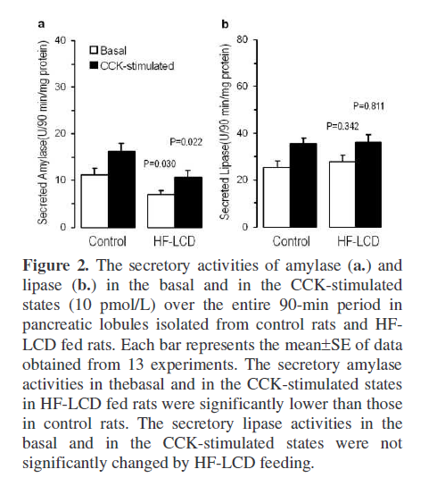 pancreas-secretory-activities-amylase