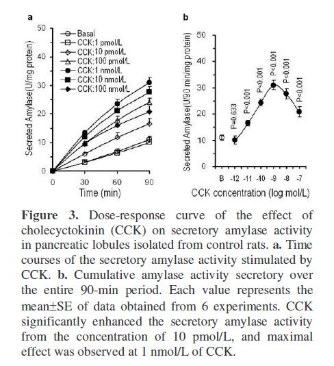 pancreas-secretory-amylase-activity