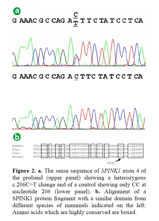 pancreas-sense-sequence-SPINK1