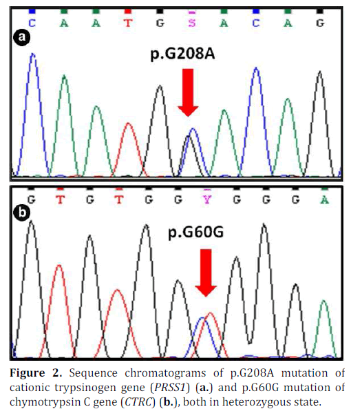 pancreas-sequence-chromatograms