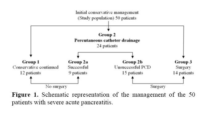 pancreas-severe-acute-pancreatitis