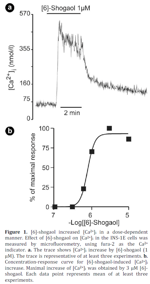 pancreas-shogaol-increased-dose-dependent