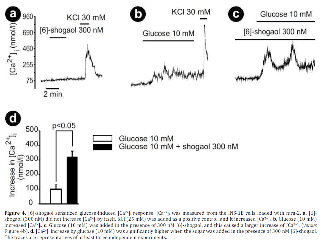pancreas-shogaol-sensitized-glucose