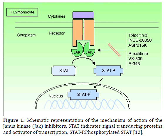 pancreas-signal-transducing-proteins
