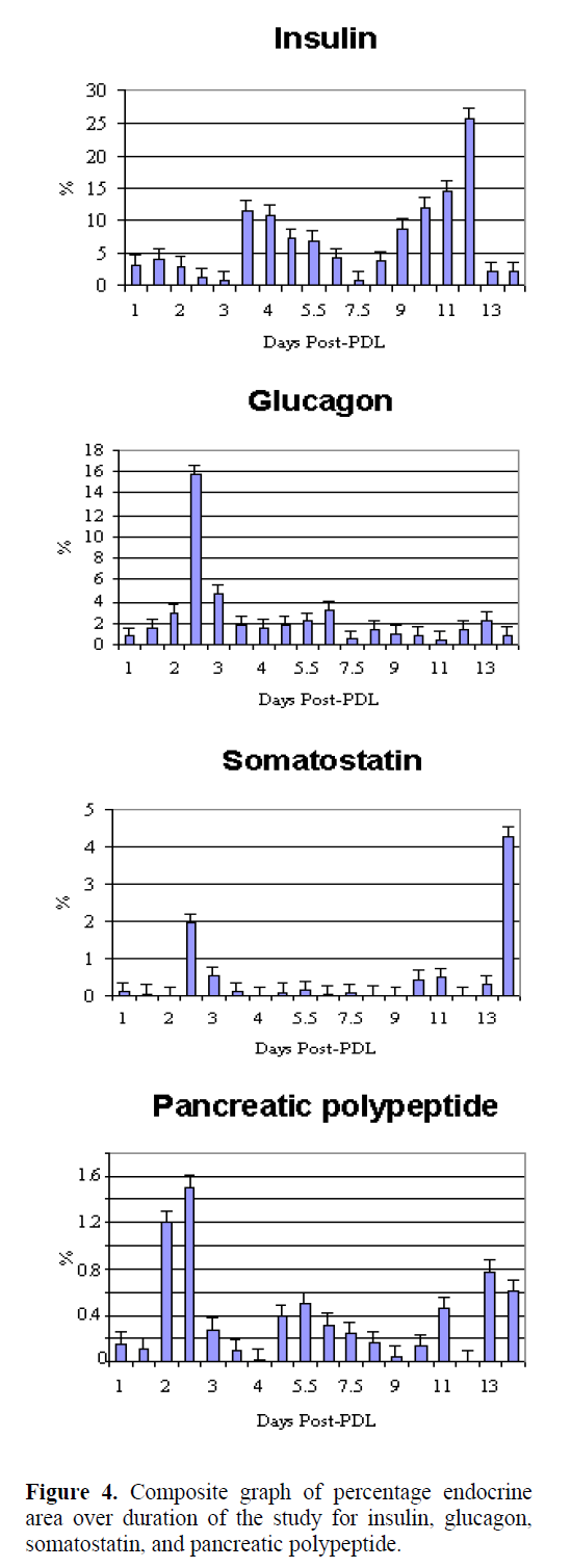 pancreas-somatostatin-pancreatic-polypeptide