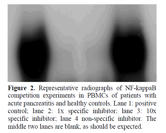 pancreas-specific-inhibitor-lane