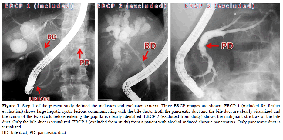 pancreas-step-1-present-study-inclusion