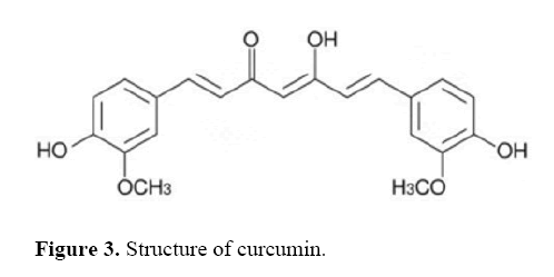 pancreas-structure-of-curcumin