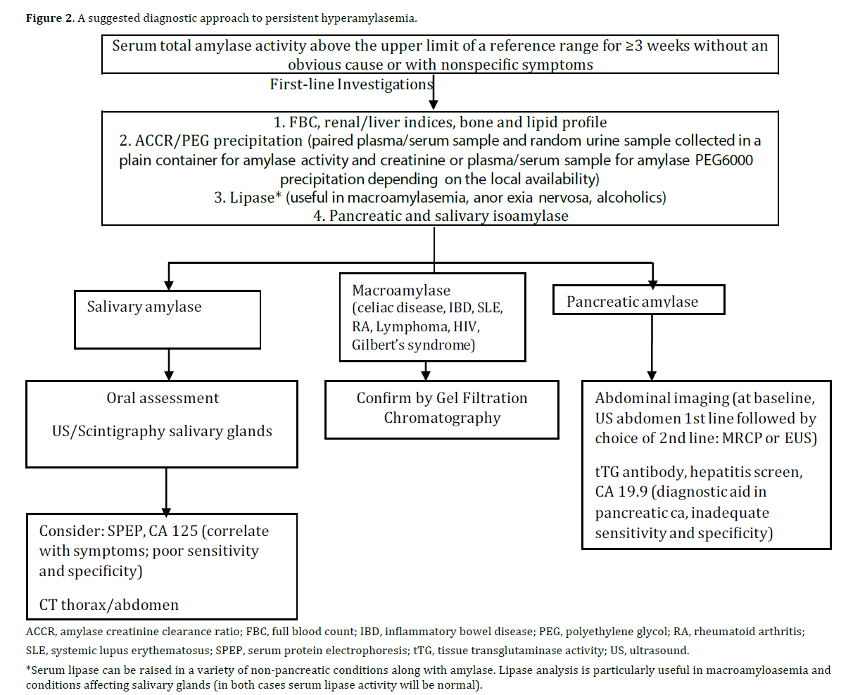 pancreas-suggested-diagnostic