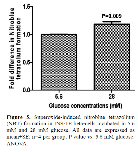 pancreas-superoxide-induced-nitroblue