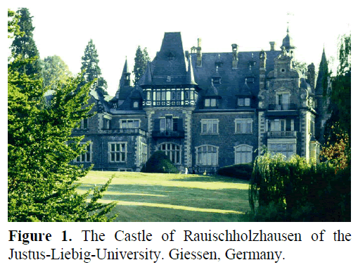 pancreas-the-Castle-rauischholzhausen