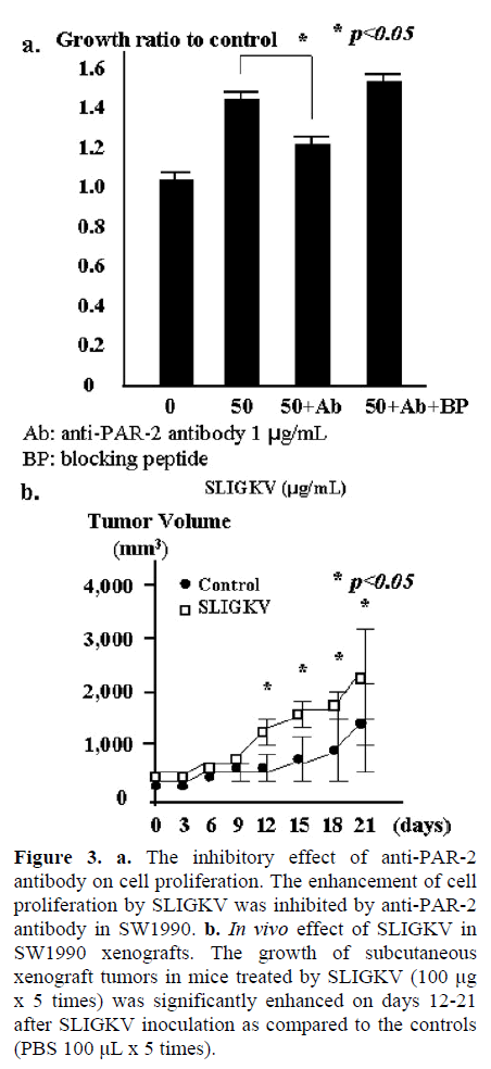 pancreas-the-inhibitory-effect-antibody