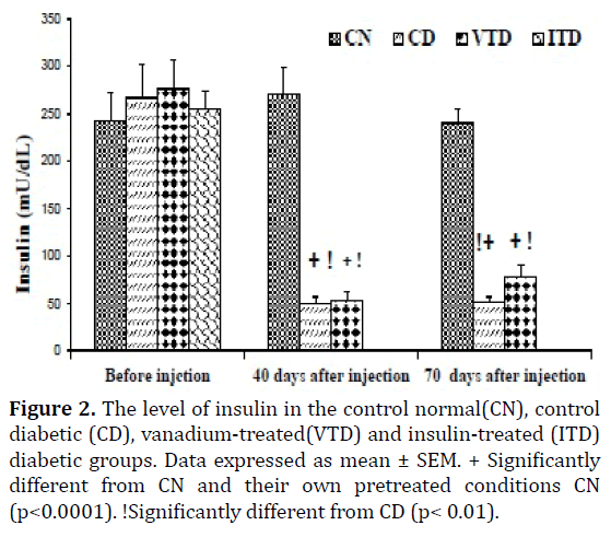 pancreas-the-level-insulin-control