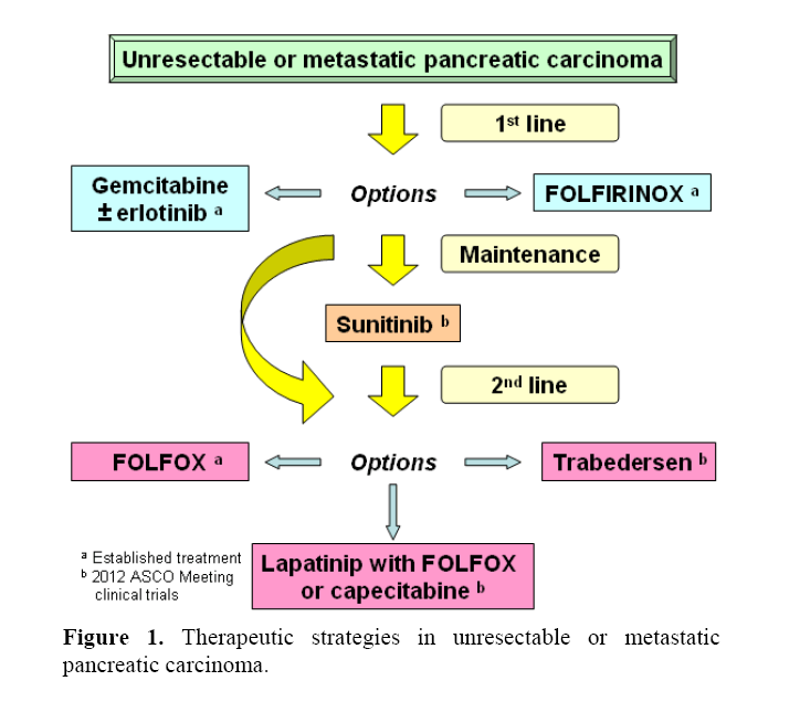pancreas-therapeutic-strategies-unresectable