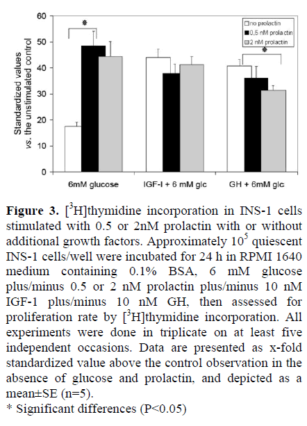 pancreas-thymidine-incorporation-prolactin