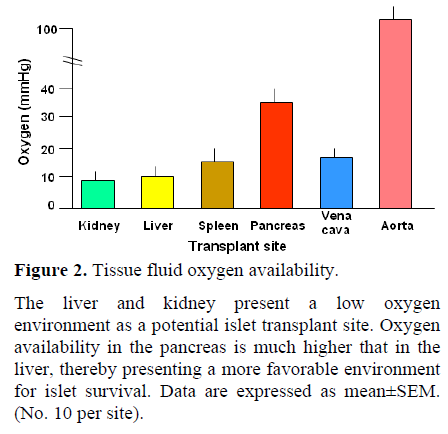 pancreas-tissue-fluid-oxygen-availability