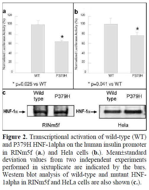 pancreas-transcriptional-activation