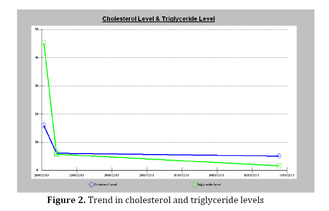 pancreas-triglyceride-levels