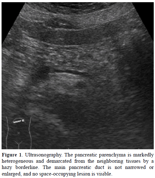 pancreas-ultrasonography-pancreatic-parenchyma