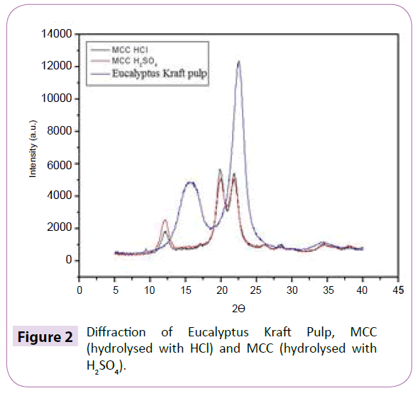 polymer-sceiences-diffraction-eucalyptus-kraft