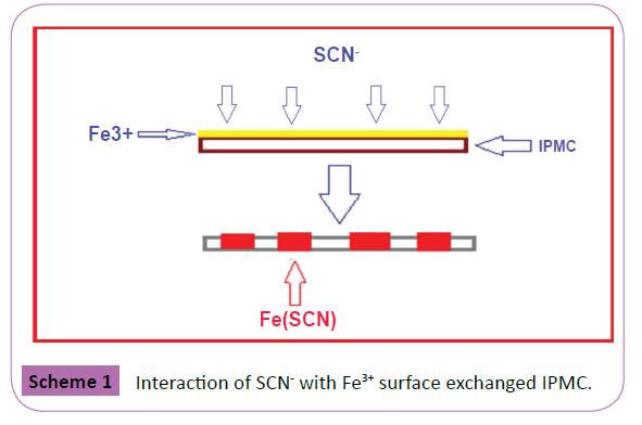 polymer-sceiences-interaction-surface-exchanged