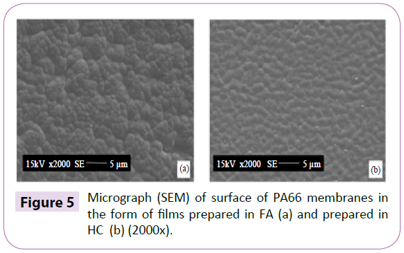 polymer-sceiences-micrograph-surface-membranes