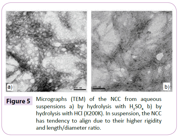 polymer-sceiences-micrographs-aqueous-suspensions
