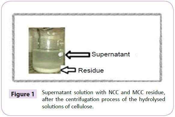polymer-sceiences-supernatant-solution-residue