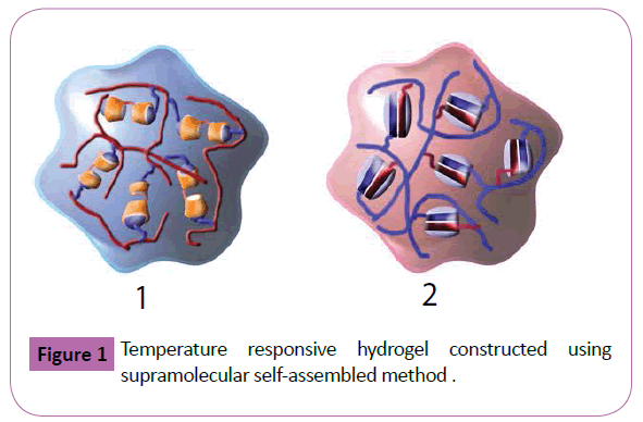 polymer-sceiences-temperature-supramolecular