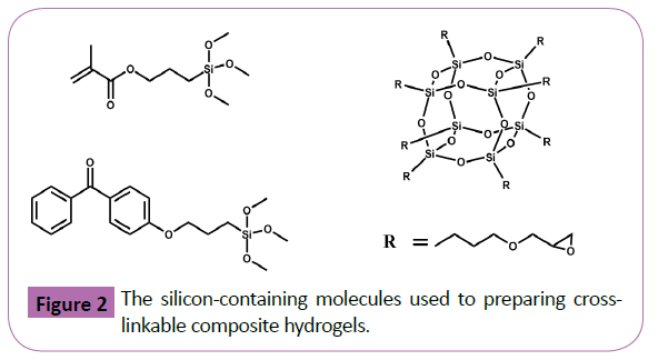 polymer-sceiences-the-Silicon-containing-molecules