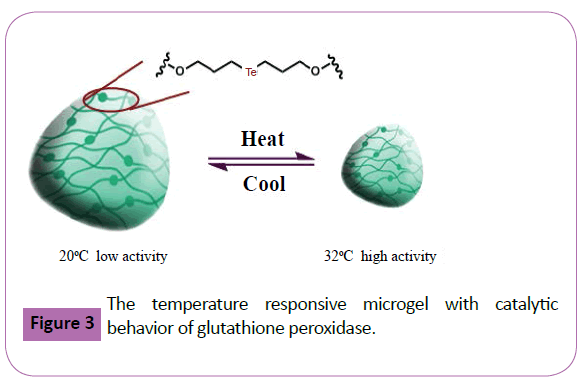 polymer-sceiences-the-temperature-glutathione