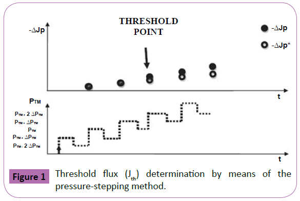 polymer-sceiences-threshold-flux-determination