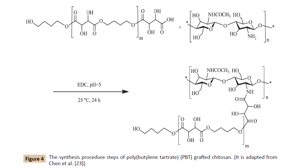 polymer-sciences-butylene-tartrate