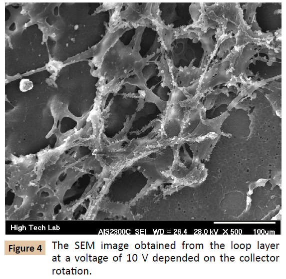 polymer-sciences-loop-layer