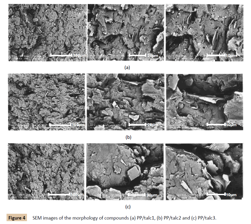 polymer-sciences-morphology-compounds