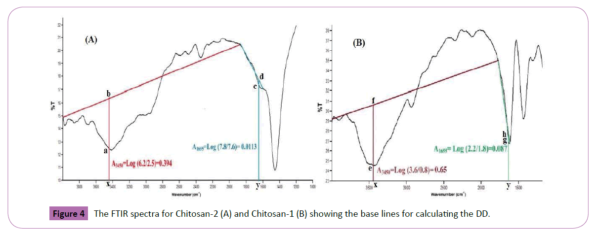 polymer-sciences-schematic-chitosan
