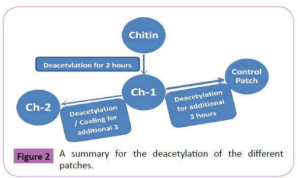 polymer-sciences-schematic-patches