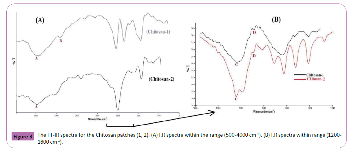 polymer-sciences-schematic-spectra